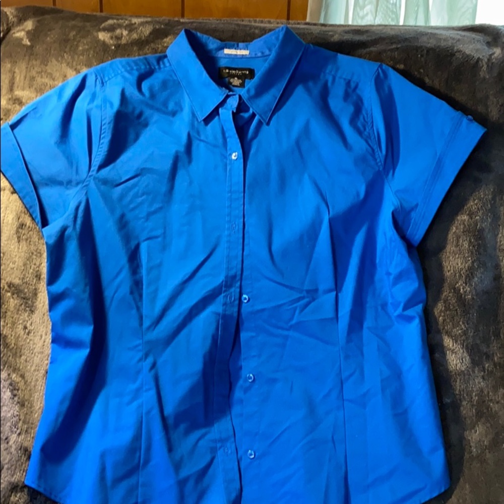 Blue, shirt sleeved blouse